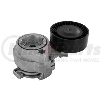 V200339 by VAICO - Tensor de correa, correa poli V