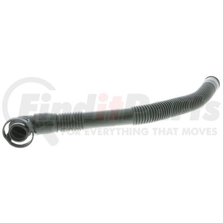 V103734 by VAICO - Hose, air supply