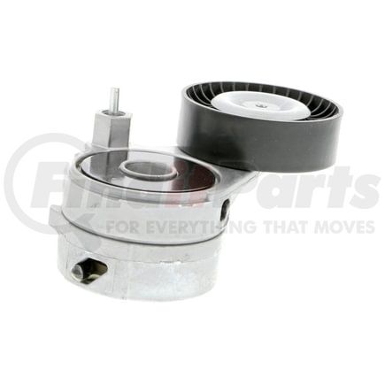 V103871 by VAICO - Tensor de correa, correa poli V