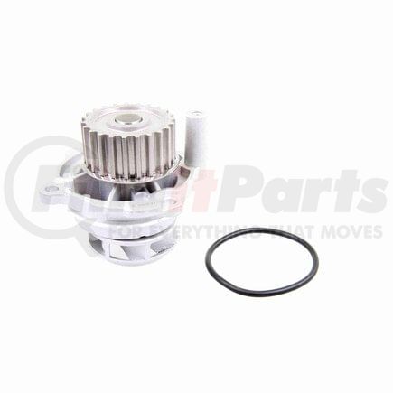 V10-50011 by VAICO - water pump