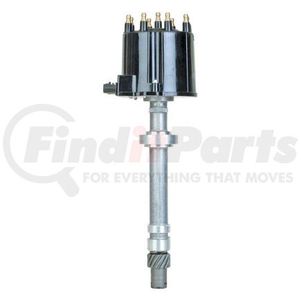 DST1831 by WAI - Distributor