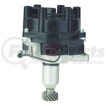 DST35623 by WAI - Distributor