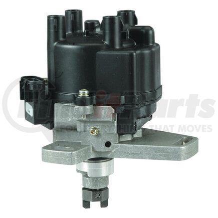 DST77429 by WAI - Distributor