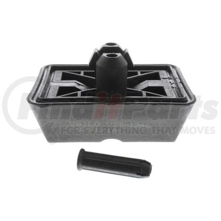 V20-1946 by VAICO - Alojamiento, gato UE 1