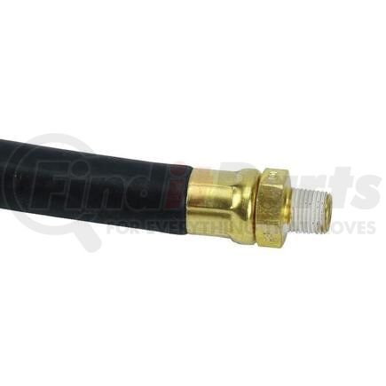 55527 by NEWSTAR - HOSE 15"