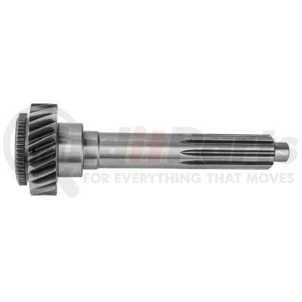Newstar 4301403 GEAR
