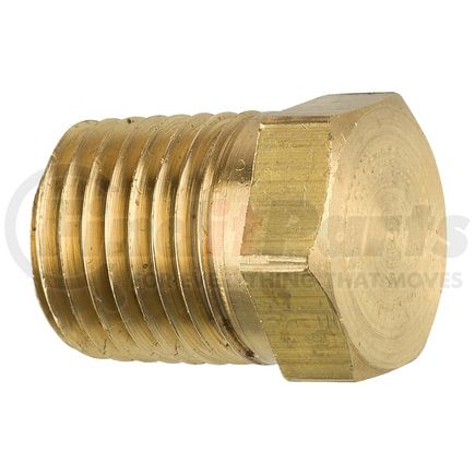 PTF-11B by AGS COMPANY - Brass Hex Plug, Male (1/4-18 NPT), 1/bag