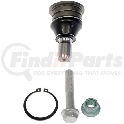 539-891 by DORMAN - Suspension Ball Joint - Rear, Lower, Pinch Bolt, Press In, Non-Greasable