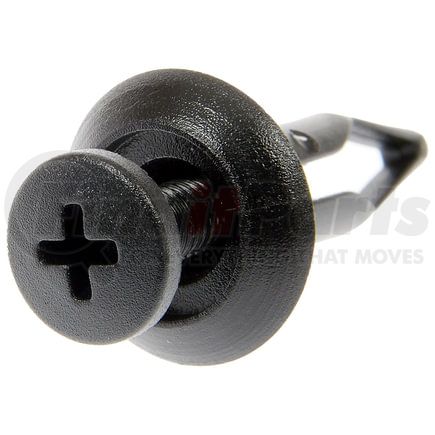 700-724 by DORMAN - Multi-Purpose Retainer - Fits 6.4 MM Hole, 0.137 in, Black, Natural