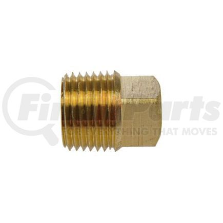 Dorman 490-073.1 PIPE PLUG