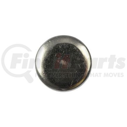 555-024.1 by DORMAN - EXPANSION PLUG STEEL