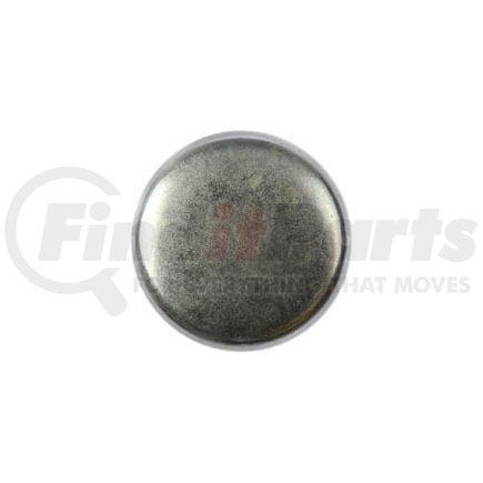 555-029.1 by DORMAN - EXPANSION PLUG STEEL