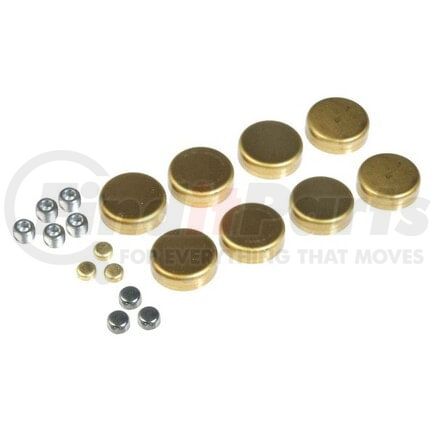 Dorman 567-016 Brake Hardware Tech Tray BRASS EXP PLUG KIT