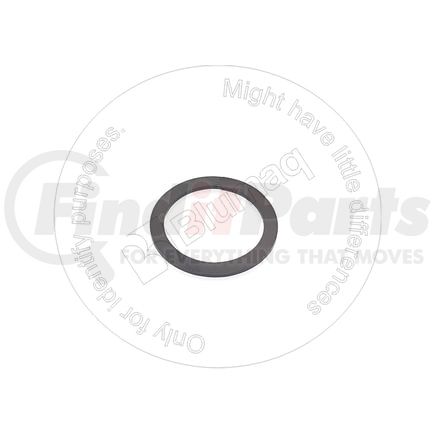 2P-9556 by BLUMAQ - WASHER