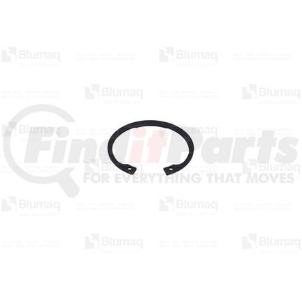 098-1252 by BLUMAQ - SEAL RING