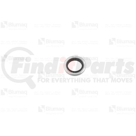 MT552747 by BLUMAQ - Seal Ring / Washer