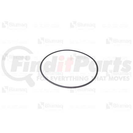 CA0145899 by BLUMAQ - SEAL RING