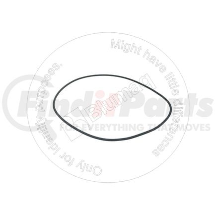 CS22420R1 by BLUMAQ - SEAL O-RING
