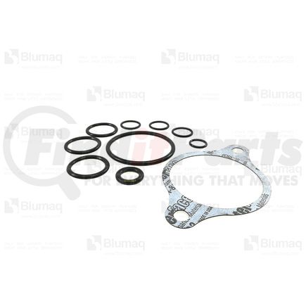 246-1706 by BLUMAQ - GASKET KIT