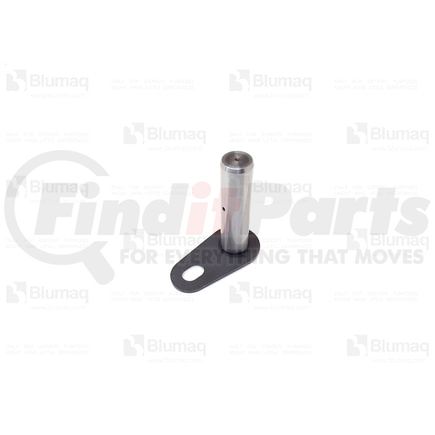 HUNE01958 by BLUMAQ - PIN