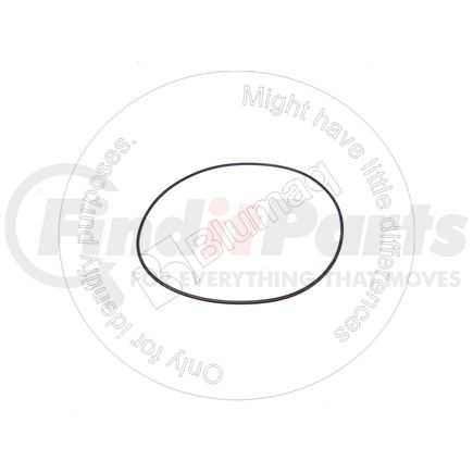 1701612 by BLUMAQ - Seal O-ring