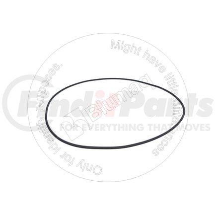 1F9142 by BLUMAQ - Seal O-ring