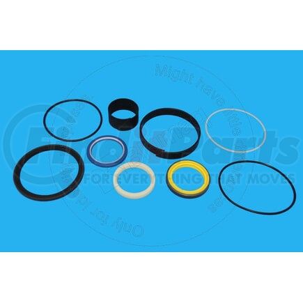 2959893 by BLUMAQ - HYDRAULIC SEAL KIT
