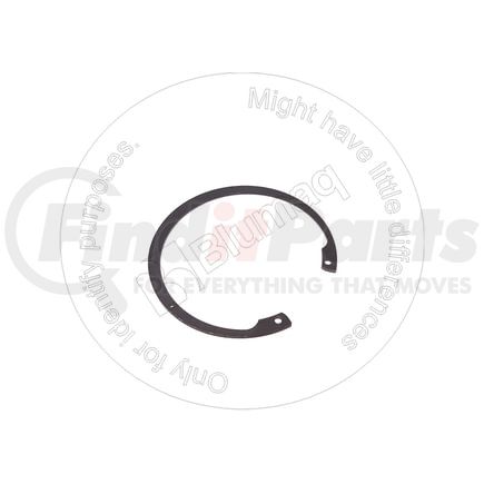 673161 by BLUMAQ - RING