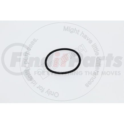 4713170880 by BLUMAQ - Seal O-ring