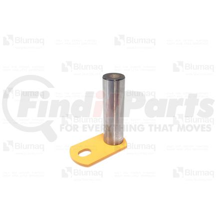 4921880 by BLUMAQ - PIN