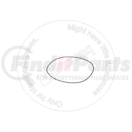 4919986M by BLUMAQ - Seal O-ring