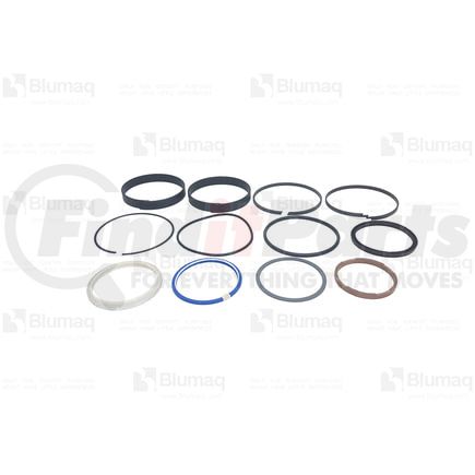 5253515 by BLUMAQ - HYDRAULIC SEAL KIT