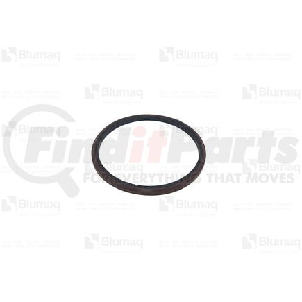 1439740 by BLUMAQ - SEAL