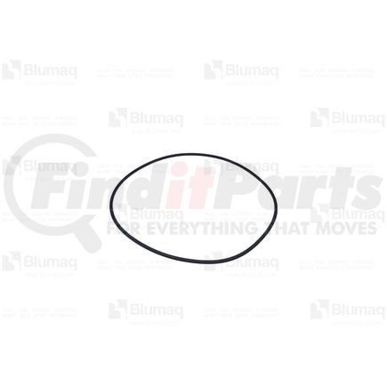 0546849 by BLUMAQ - Seal O-ring