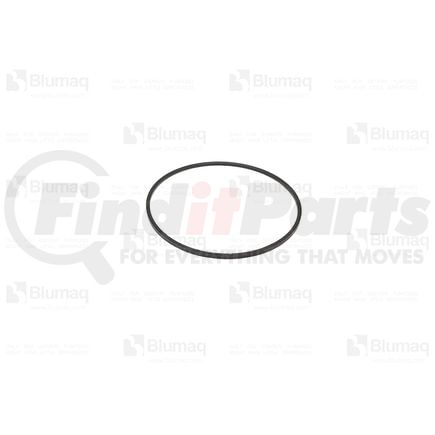 2P4417 by BLUMAQ - RING