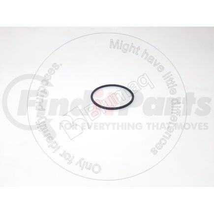 3047879R1 by BLUMAQ - Seal O-ring