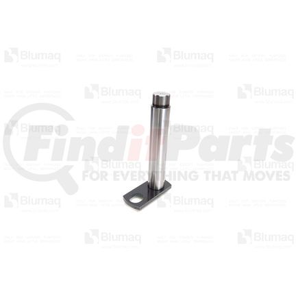 312710052 by BLUMAQ - PIN