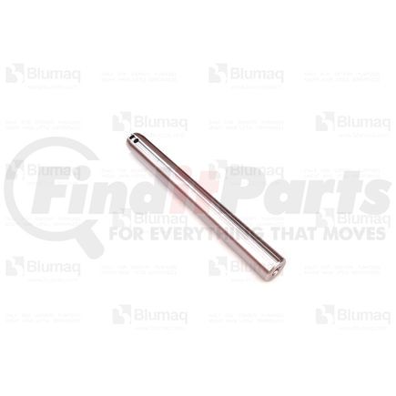 3658829 by BLUMAQ - PIN