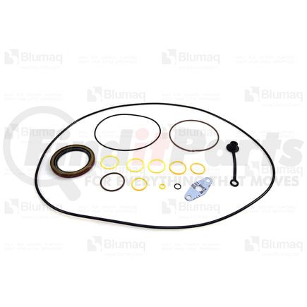 3844807 by BLUMAQ - GASKET KIT