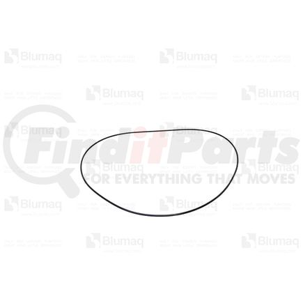 426-13-19110 by BLUMAQ - Seal O-ring