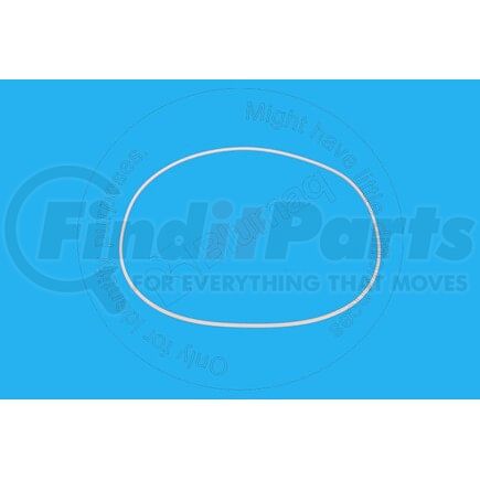 19034527B by BLUMAQ - Multi-Purpose Seal Ring - Plastic, 283.95 mm. ID x 290 mm. OD