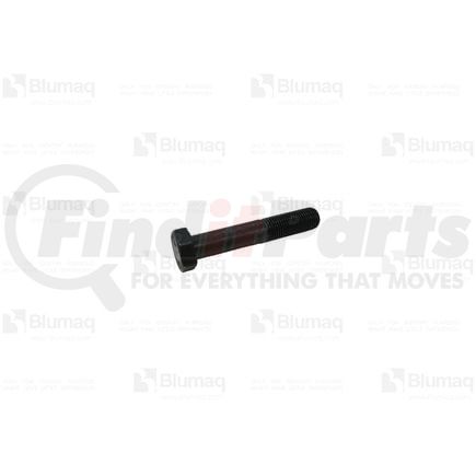 01000-41480 by BLUMAQ - Bolt