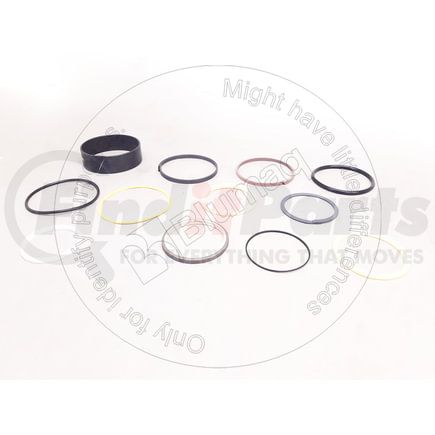 087-5387 by BLUMAQ - SEAL KIT