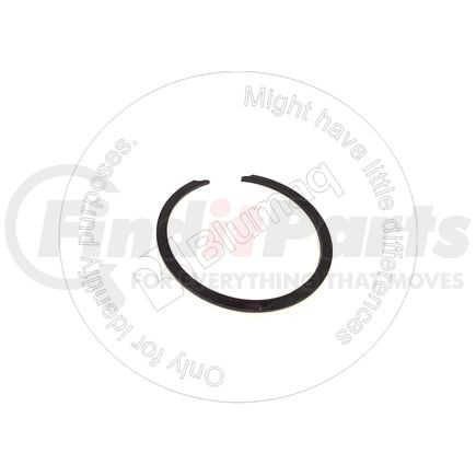 0981238 by BLUMAQ - RING