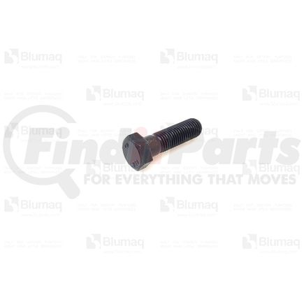 01010-31655 by BLUMAQ - Bolt - Hexagonal Head, M16 x 55 mm.