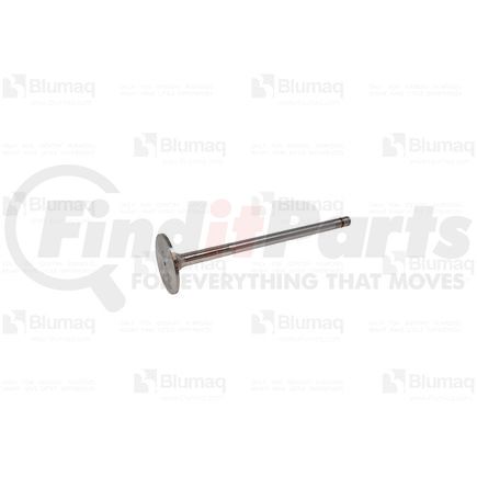 039.214 by BLUMAQ - Engine Intake Valve - fits Volvo