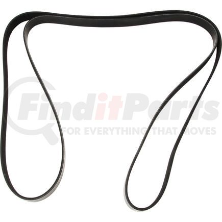 LR064185 by DAYCO - lr064185