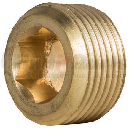 Tectran 118-D-R Air Brake Air Line Fitting Air Brake Pipe Head Plug - Brass, 1/2 inches Pipe Thread, Counter Sunk Hex Head