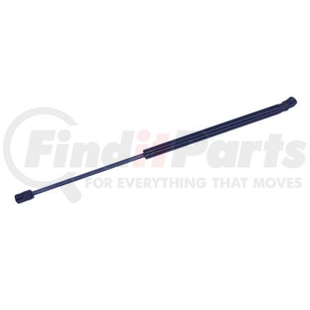 300636 by MONROE - Hood Lift Support