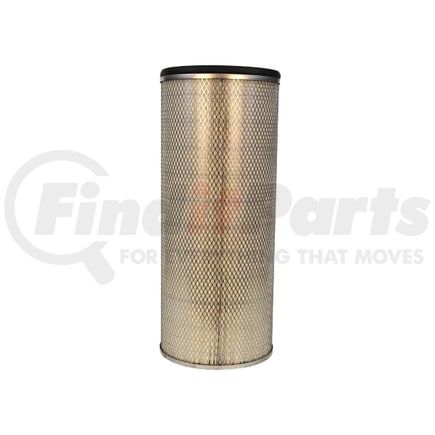 Fleetguard AF25545 Engine Air Filter Air Filter, Secondary